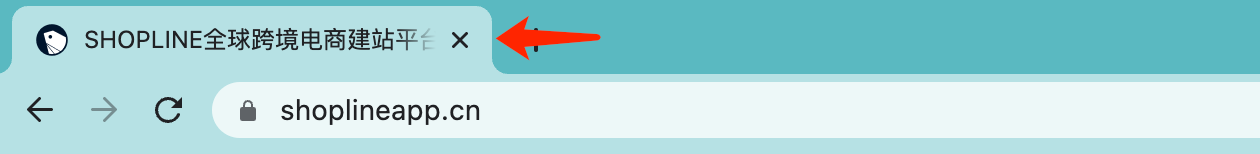 建站优化之产品上传 – 产品标题、描述与SEO设置 63a85157f3ba37abede83f0020251030_ -3