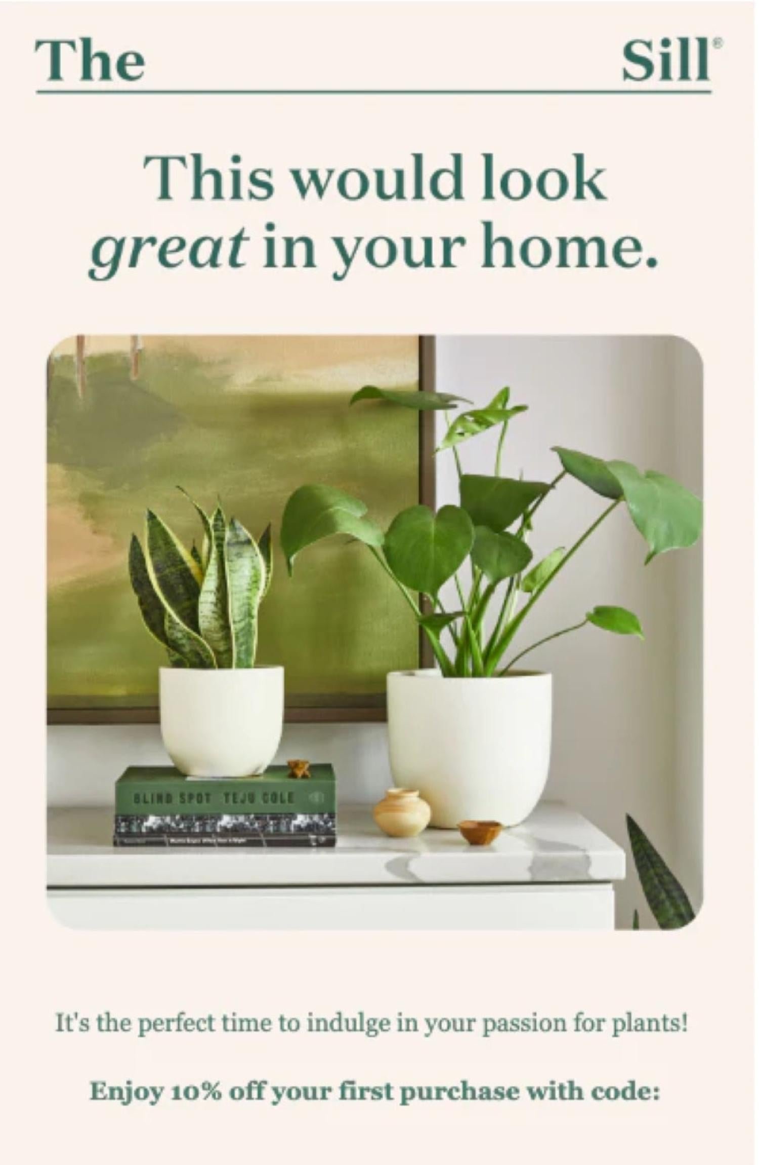 网络推广：2025年高效拓展业务的29种方法 thesill_4f3a179c-17fa-4143-a497-db253bc6ed4720251029_ -3