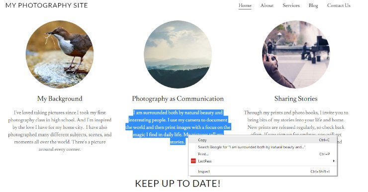 如何将 GoDaddy 网站构建器网站迁移到 WordPress backup-site20251123_ -3