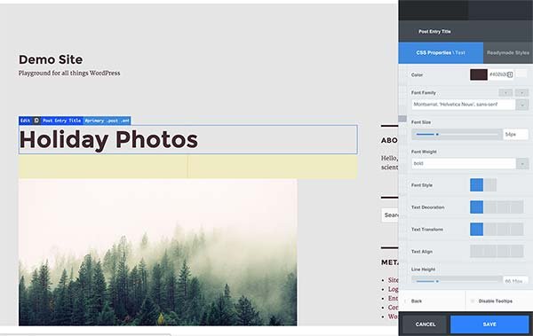 2025 年 45+ 款最佳 WordPress 插件 cssheroliveeditor20251118_ -41