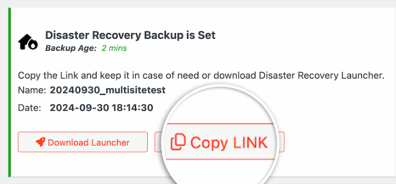 如何备份 WordPress 多站点（使用插件和不使用插件） duplicator-pro-multisite-recovery-link20251120_ -30
