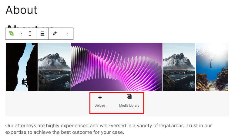 Envira Gallery 评测 – 最佳 WordPress 图库插件 envira-gallery-added-with-block20251120_ -18