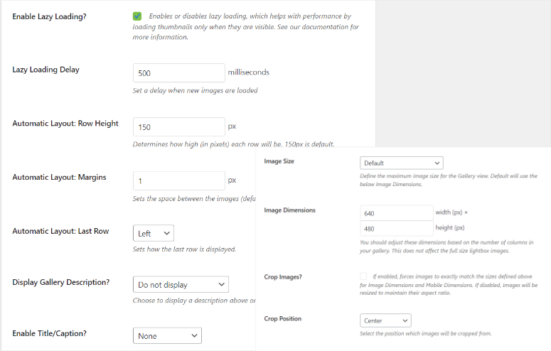 Envira Gallery 评测 – 最佳 WordPress 图库插件 envira-gallery-customization-more-options20251120_ -13