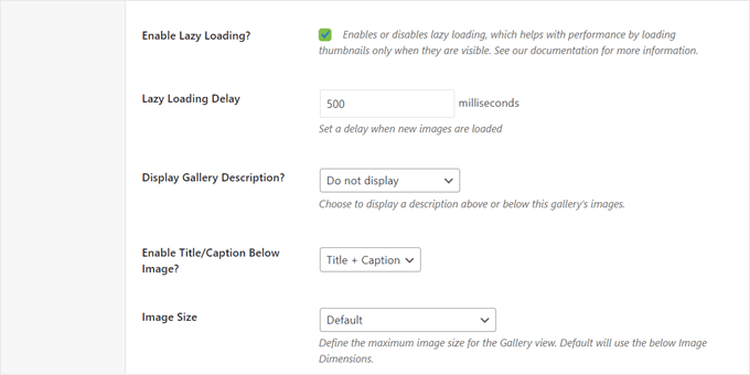 如何在 WordPress 中将 NextGEN Gallery 切换到 Envira Gallery envira-lazy-loading-min20251120_ -10