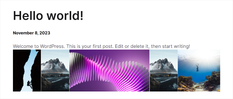 Envira Gallery 评测 – 最佳 WordPress 图库插件 envira-shrtcode-added-gallery20251120_ -16