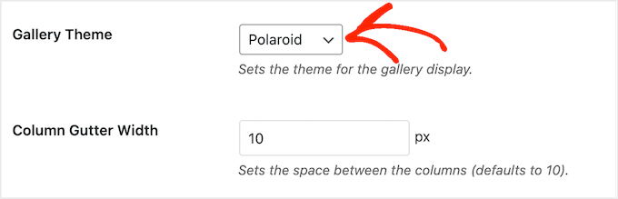 Envira Gallery 评测 – 最佳 WordPress 图库插件 envira-themes20251120_ -25