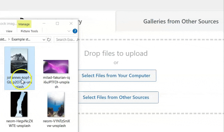 Envira Gallery 评测 – 最佳 WordPress 图库插件 envira-upload-images20251120_ -8