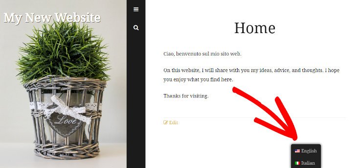 TranslatePress 评测:它是最好的翻译插件吗? language-preview20251119_ -9 TranslatePress 评测:它是最好的翻译插件吗? language-preview20251119_ -9