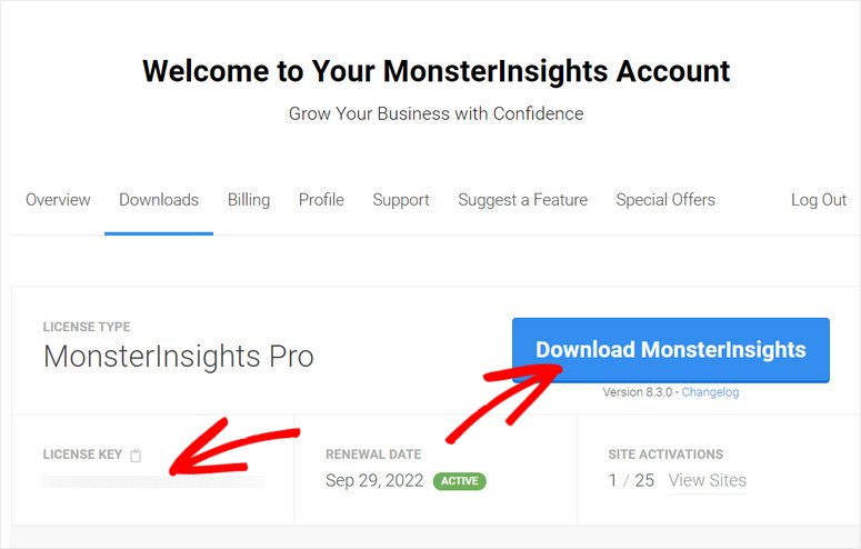 MonsterInsights 2025 年评测：它是最好的 Google Analytics 插件吗？ license-key-monsterinsights20251118_ -6