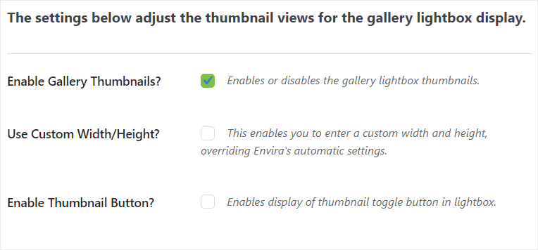 Envira Gallery 评测 – 最佳 WordPress 图库插件 lightbox-thumbnail20251120_ -21