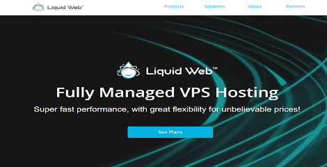 2025年最佳VPS主机公司评测（优缺点分析） liquid-web-virtual-privater-server-hosting-120251121_ -7