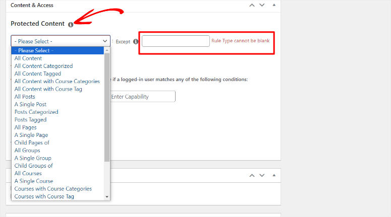 九大便捷数字下载替代方案（对比分析） memberpress-protected-content20251119_ -4