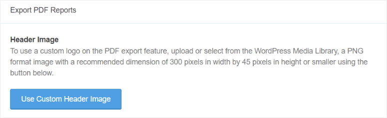 MonsterInsights 2025 年评测：它是最好的 Google Analytics 插件吗？ monsterinsights-customize-pdf-header20251118_ -19