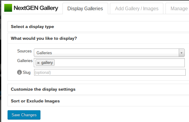 NextGEN Gallery 评测：它是最好的图库插件吗？ nextgen-gallery-review-display20251120_ -7