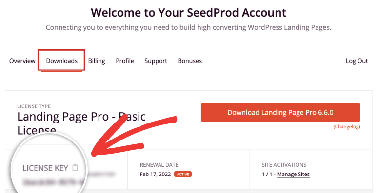 SeedProd 评测——这款网站建设工具真的好用吗？【2025 年】 seedprod-license-and-download20251118_ -3