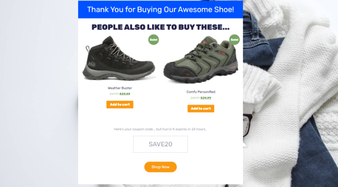 如何在 WordPress 中创建感谢页面 thank-you-page-preview20251114_-1 -13