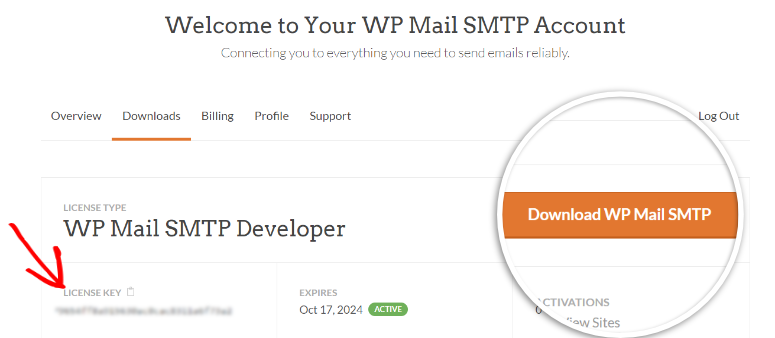 WP Mail SMTP 评测：WordPress 最佳 SMTP 插件 wp-mail-smtp-dashboard20251119_ -3