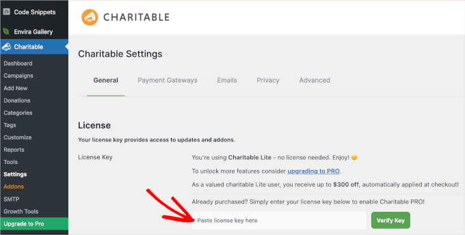 我只用了15分钟就在WordPress上创建了一个捐赠者门户网站（无需任何编码） wpadmin-charitable-settings20251109_ -5
