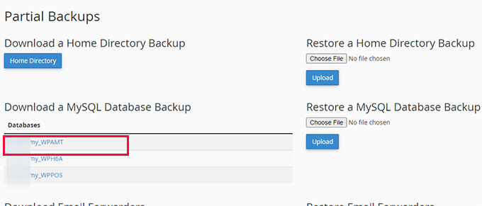 如何手动备份 WordPress 数据库（分步指南） cpanel-database-backup20251201_ -13