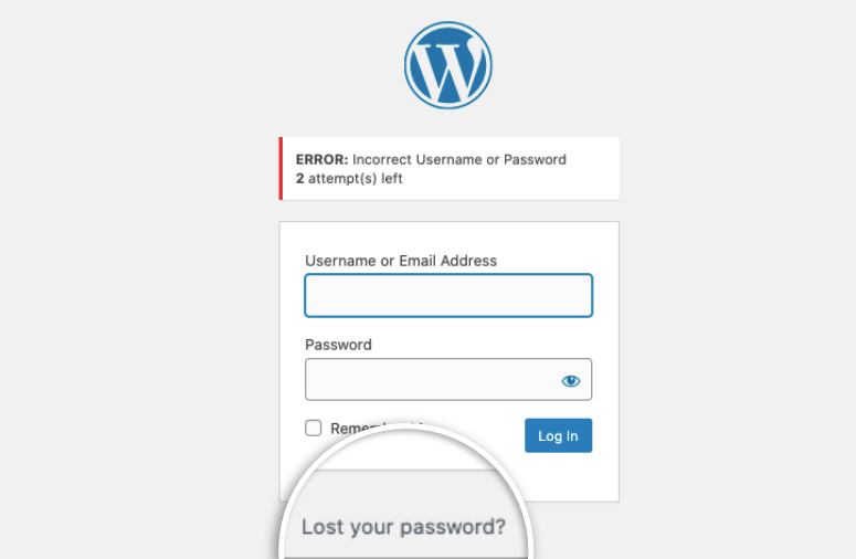  lost-password-wordpress20251201_ -8